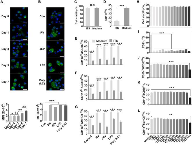 Int J Biol Sci Image