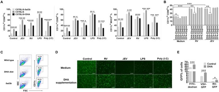 Int J Biol Sci Image