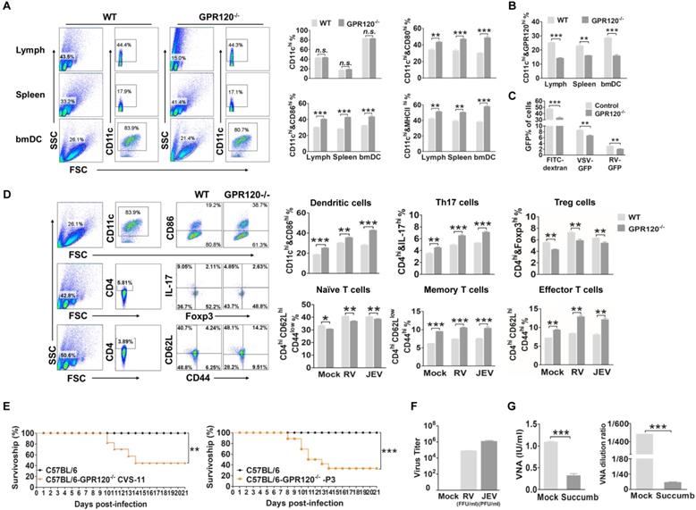 Int J Biol Sci Image