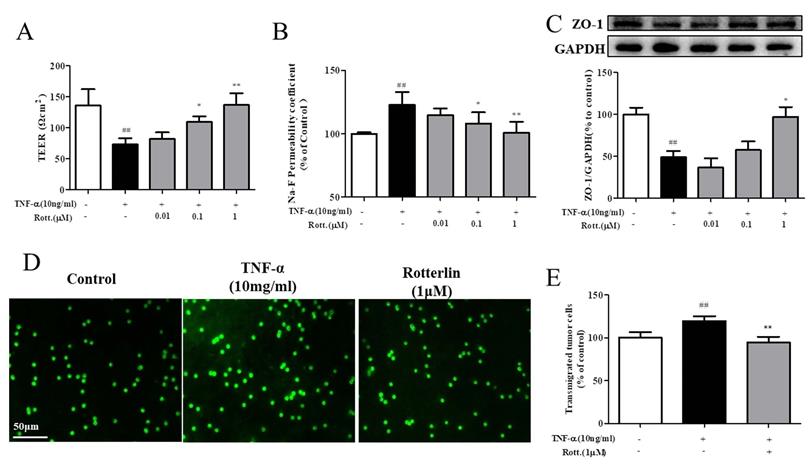 Int J Biol Sci Image