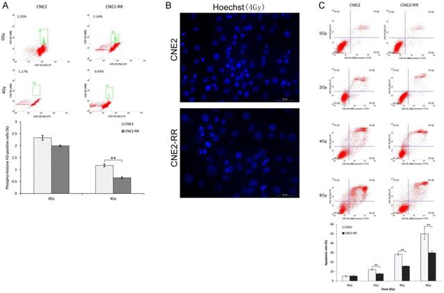 Int J Biol Sci Image