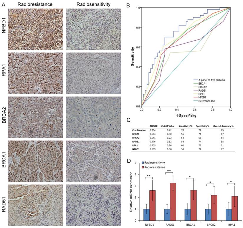 Int J Biol Sci Image