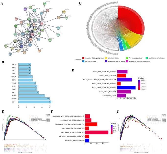 Int J Biol Sci Image