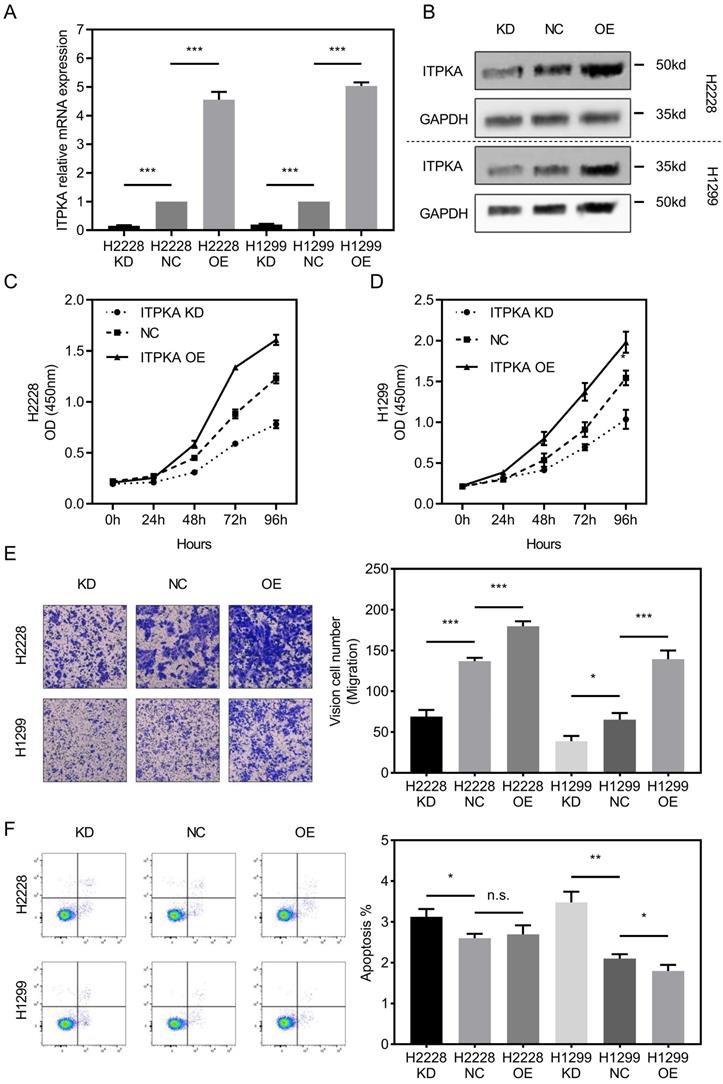 Int J Biol Sci Image