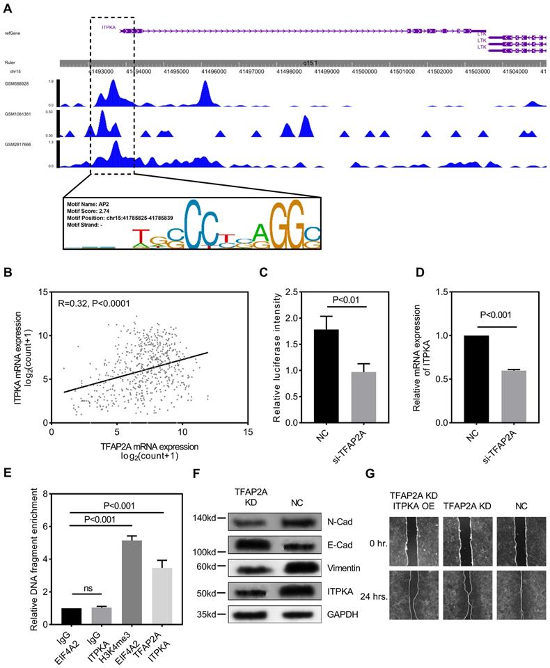 Int J Biol Sci Image