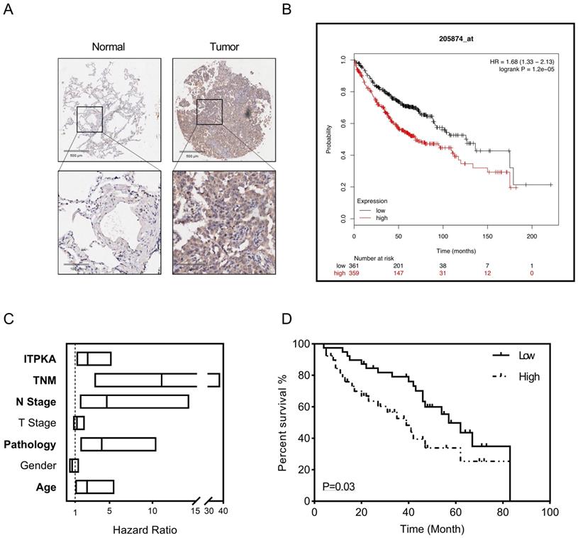 Int J Biol Sci Image