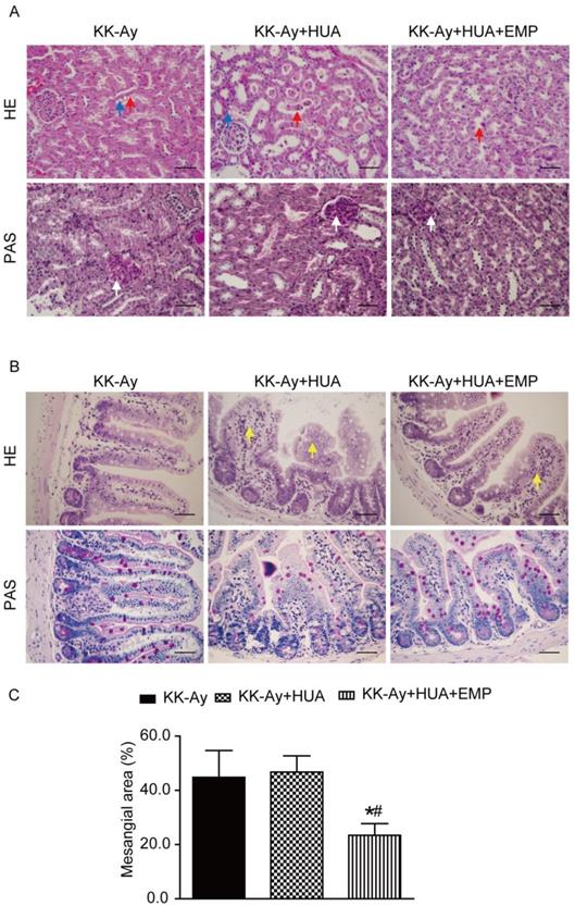 Int J Biol Sci Image