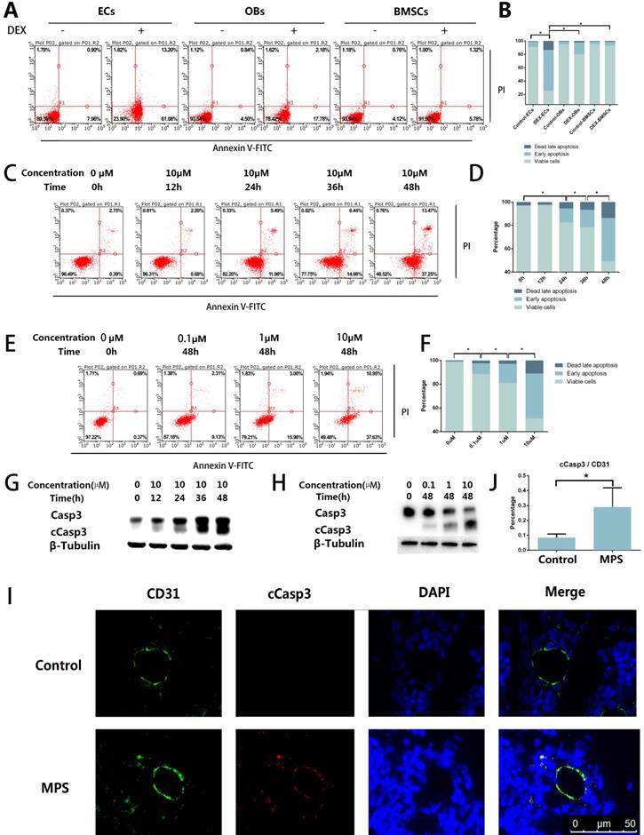 Int J Biol Sci Image