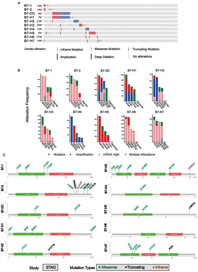 Int J Biol Sci Image