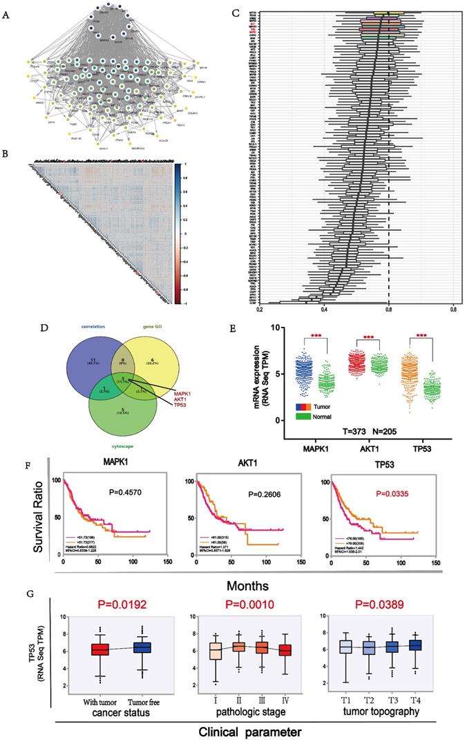 Int J Biol Sci Image