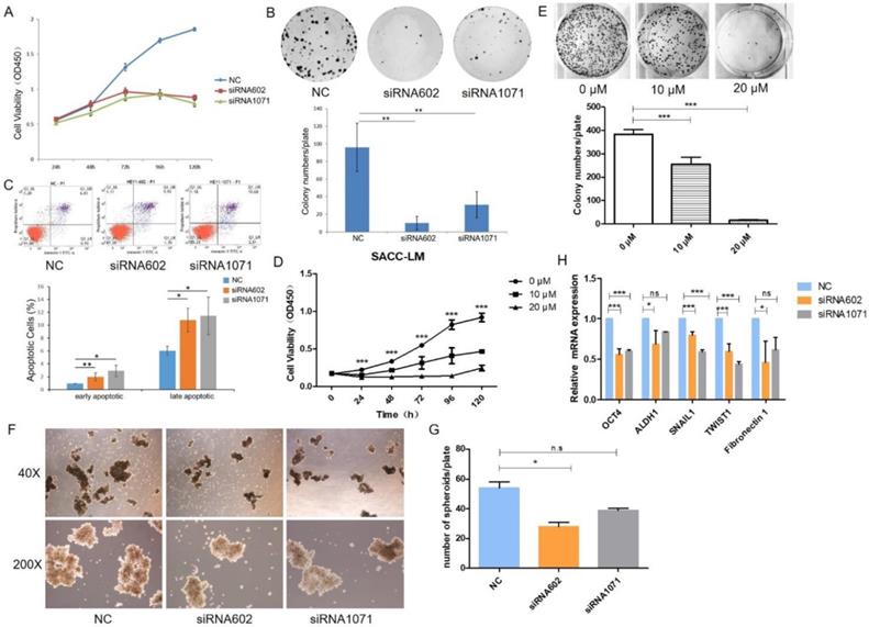 Int J Biol Sci Image