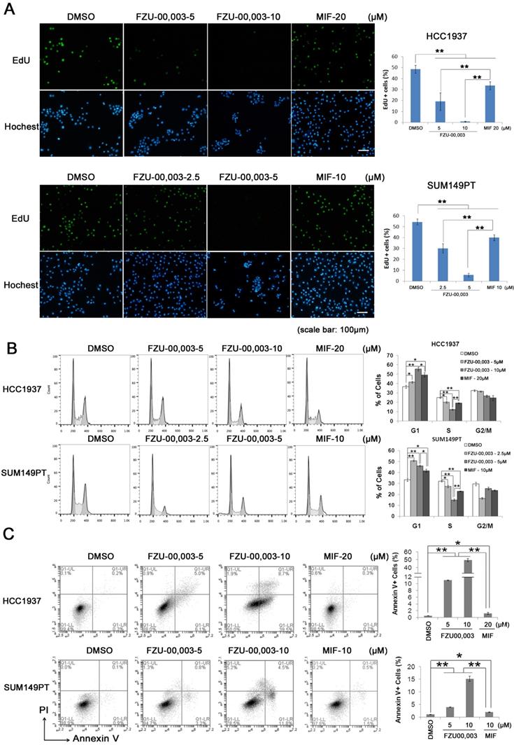 Int J Biol Sci Image