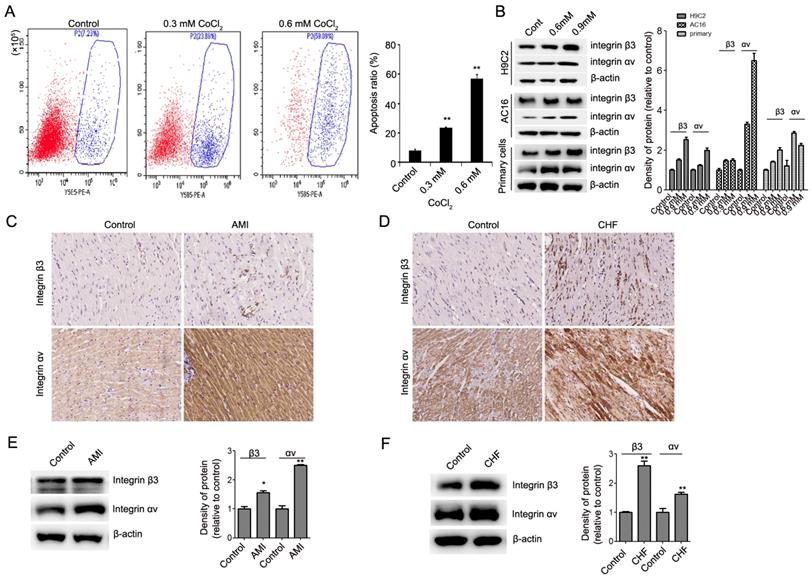 Int J Biol Sci Image