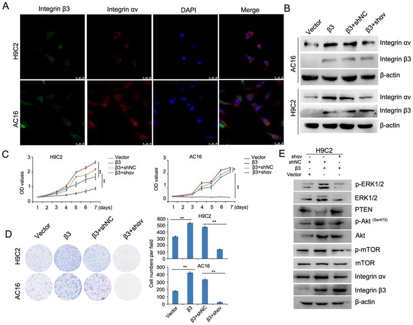 Int J Biol Sci Image