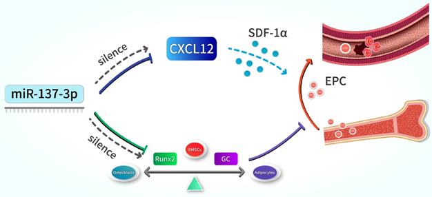 Int J Biol Sci Image