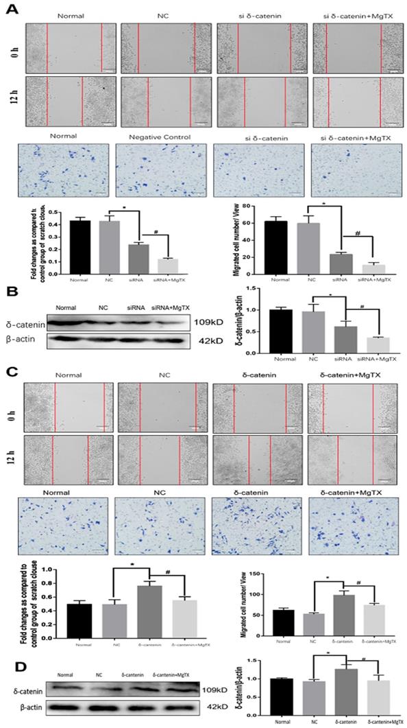 Int J Biol Sci Image