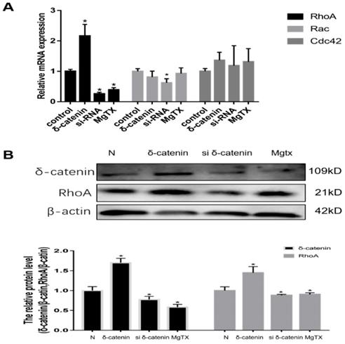 Int J Biol Sci Image