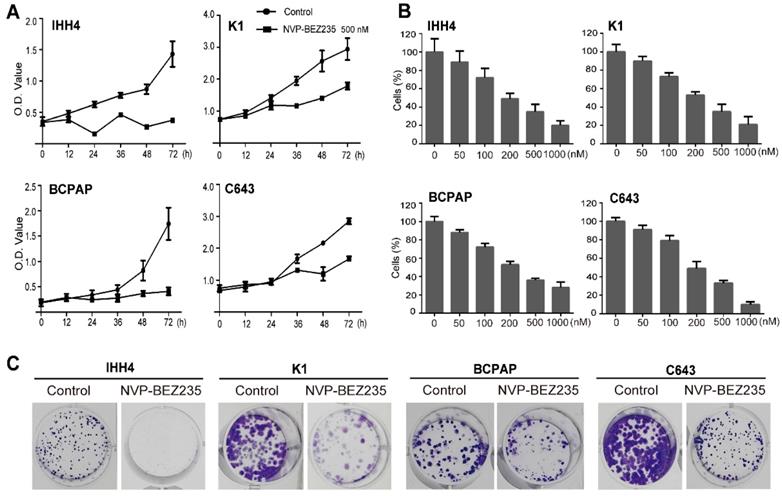 Int J Biol Sci Image