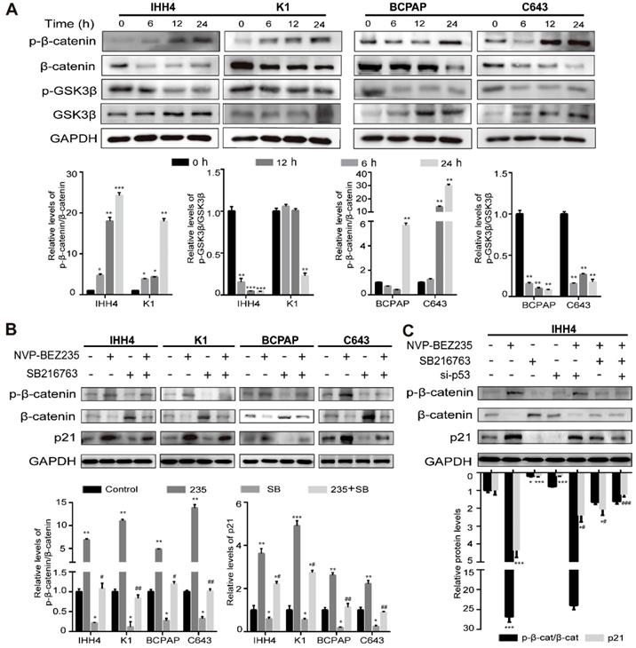 Int J Biol Sci Image