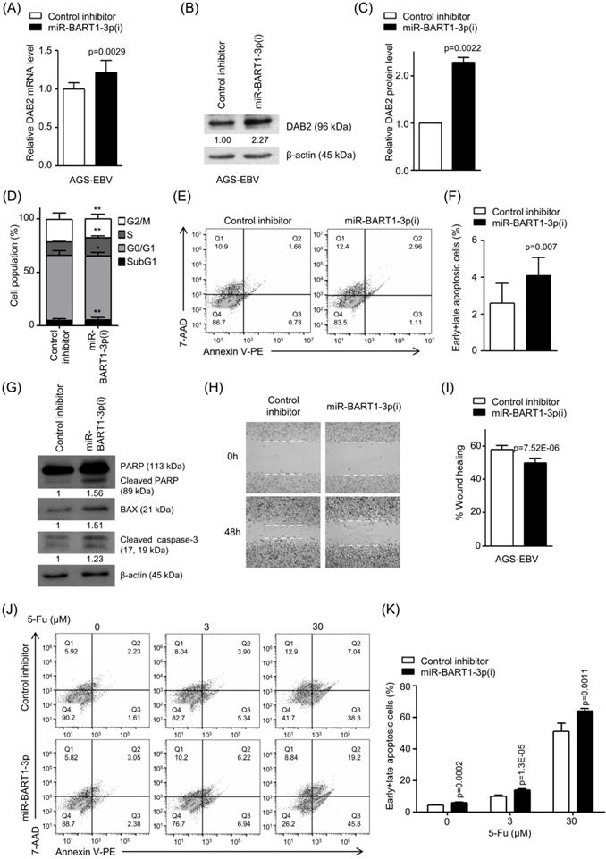 Int J Biol Sci Image