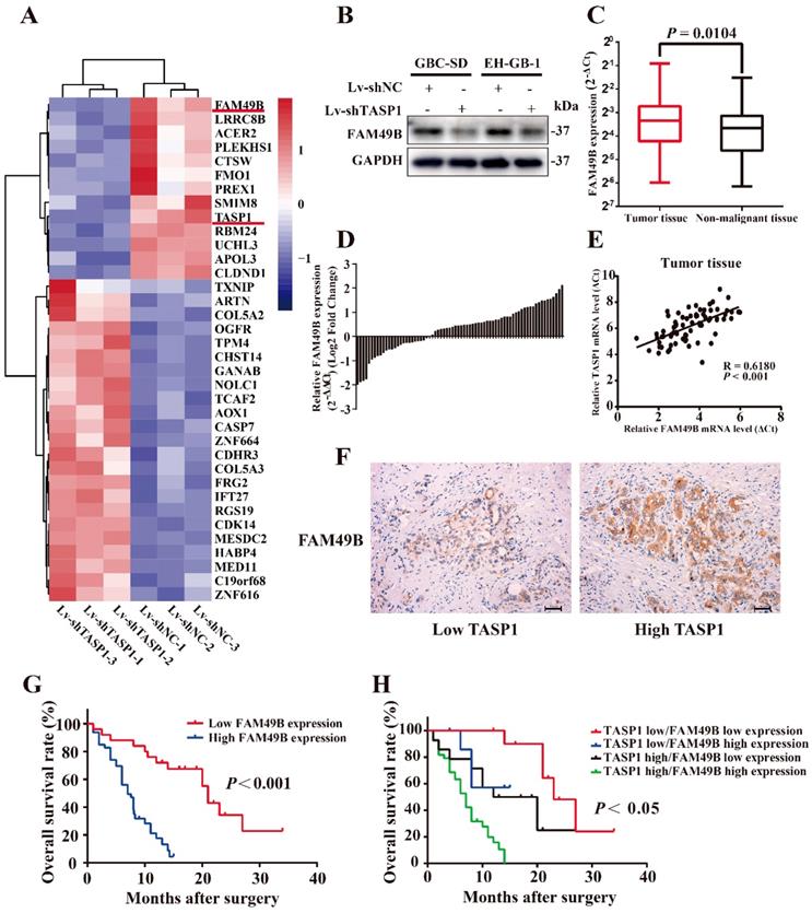 Int J Biol Sci Image