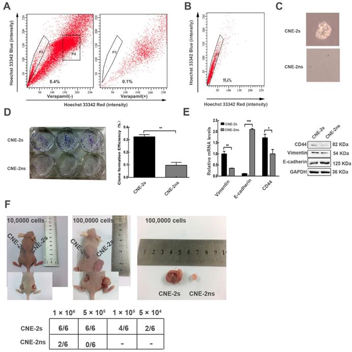 Int J Biol Sci Image