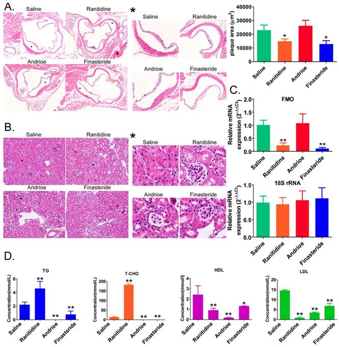 Int J Biol Sci Image