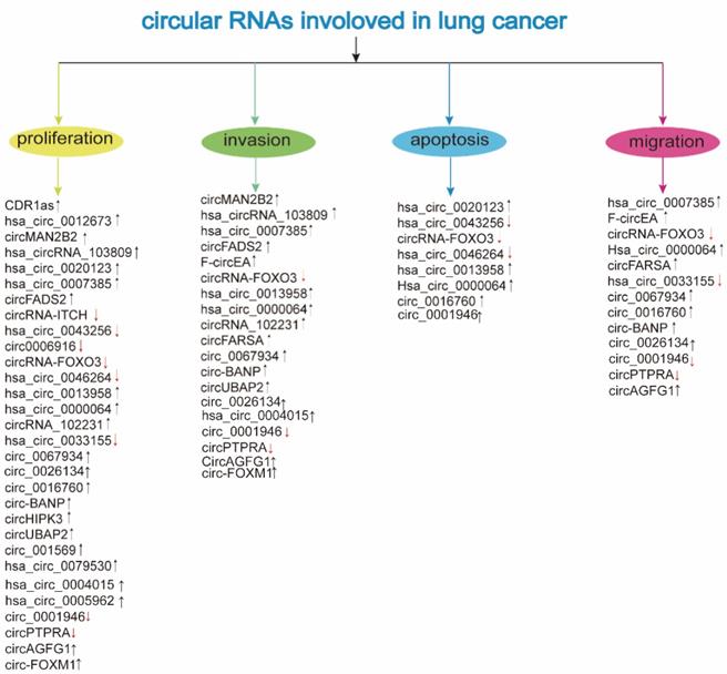 Int J Biol Sci Image