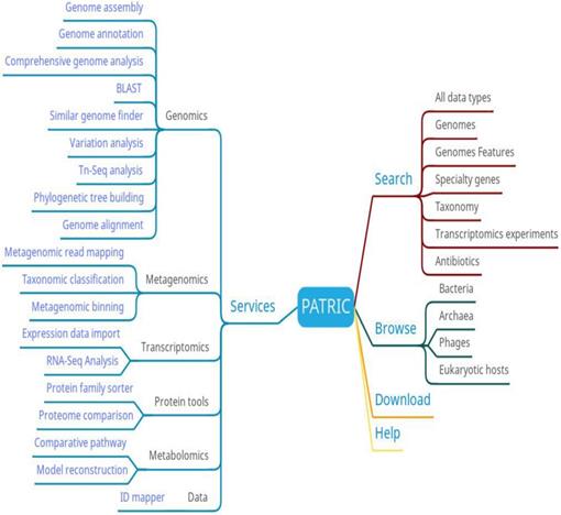 Int J Biol Sci Image