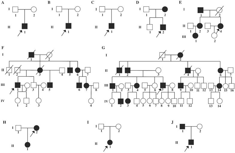 Int J Biol Sci Image