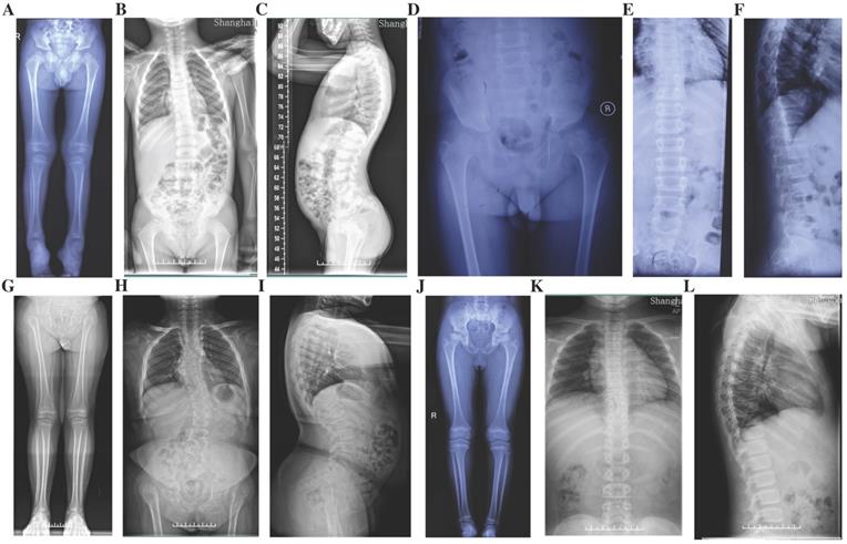 Int J Biol Sci Image