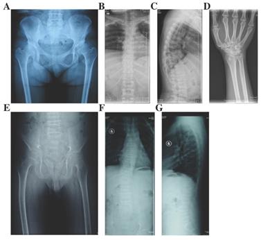 Int J Biol Sci Image