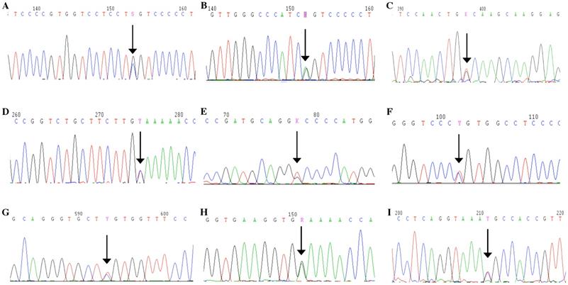 Int J Biol Sci Image