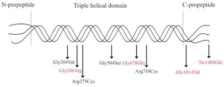 Int J Biol Sci Image