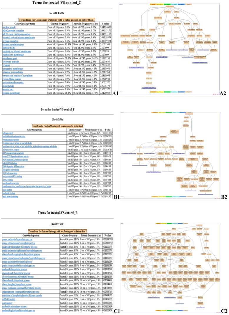 Int J Biol Sci Image