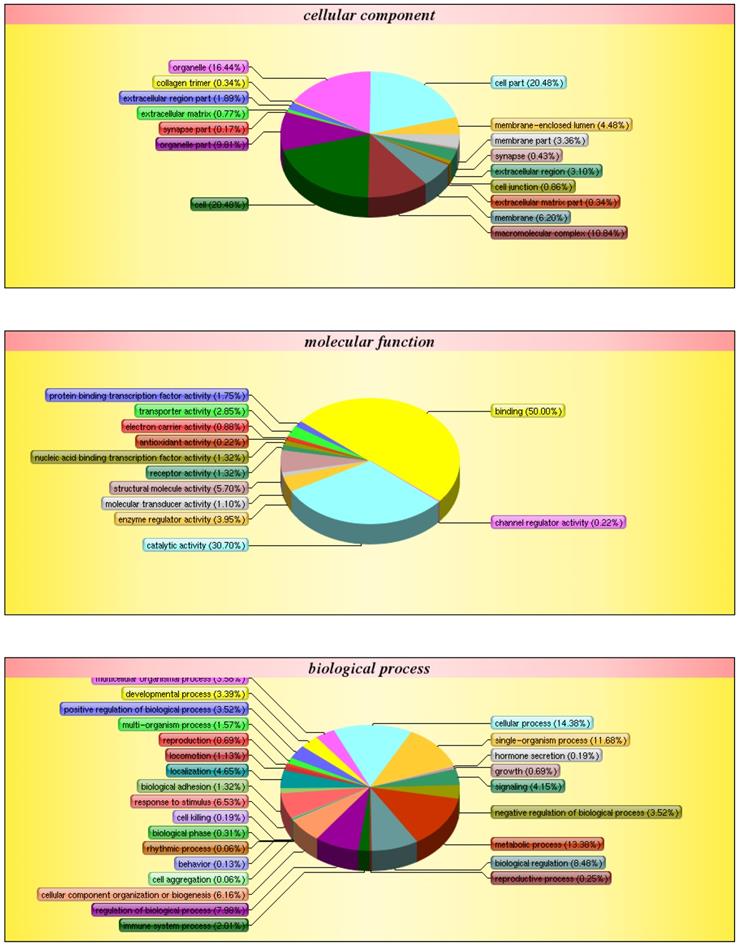 Int J Biol Sci Image