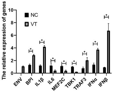 Int J Biol Sci Image