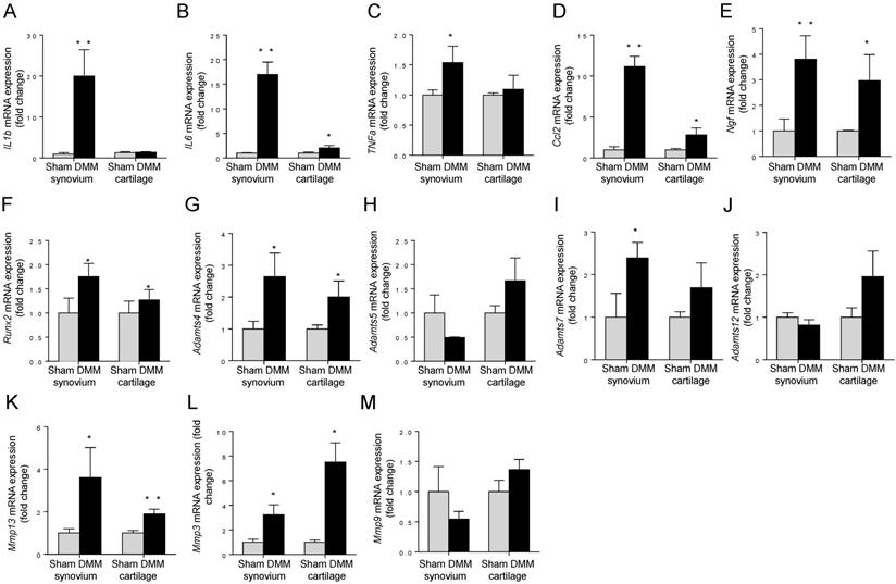 Int J Biol Sci Image