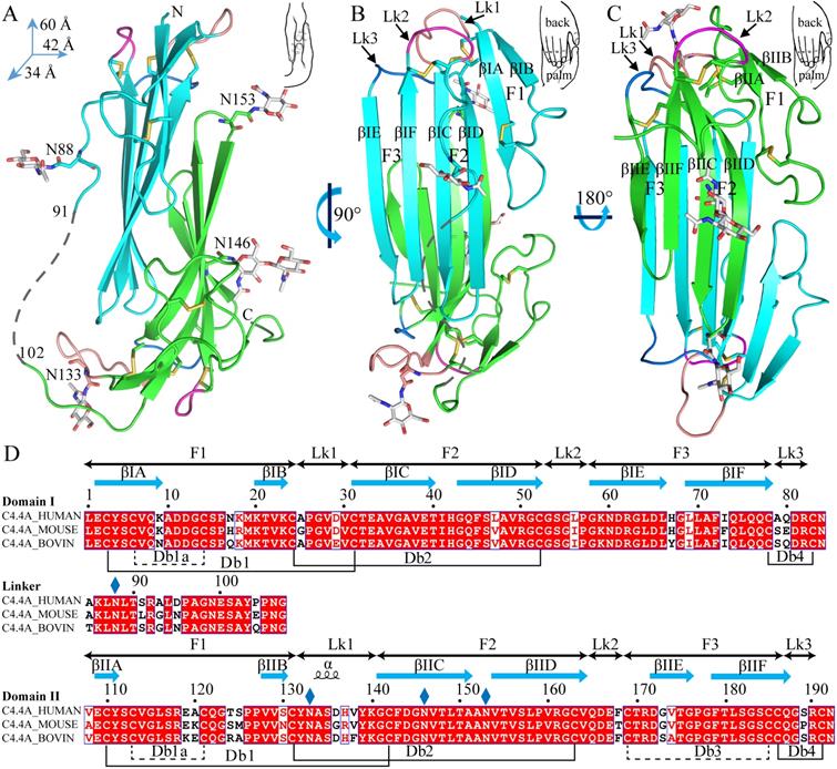 Int J Biol Sci Image