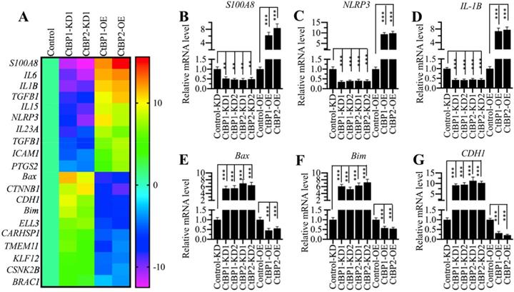 Int J Biol Sci Image