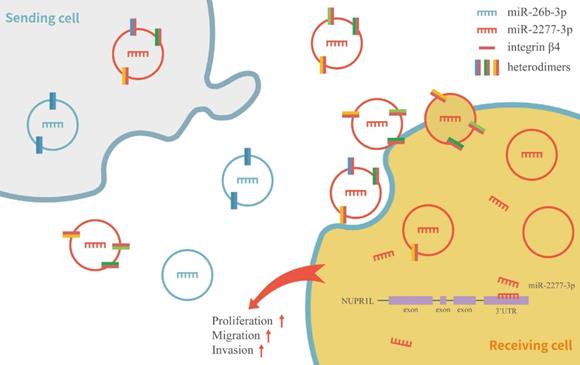 Int J Biol Sci Image