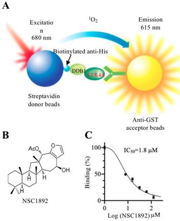 Int J Biol Sci Image