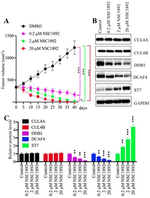 Int J Biol Sci Image