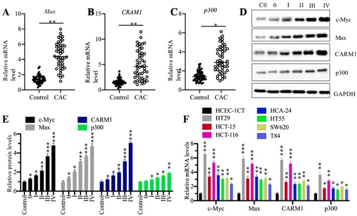 Int J Biol Sci Image