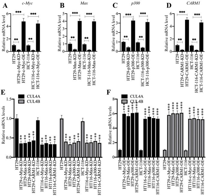 Int J Biol Sci Image