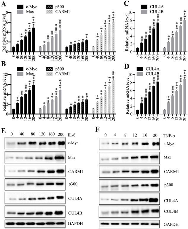 Int J Biol Sci Image