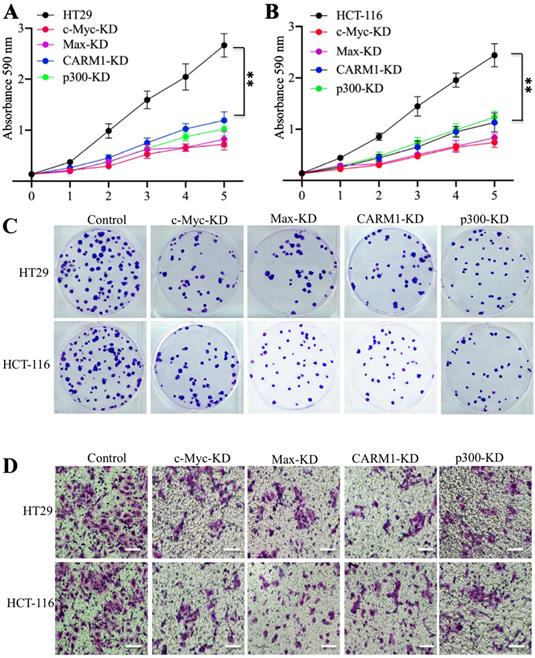 Int J Biol Sci Image