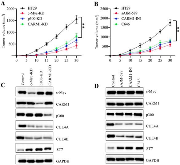 Int J Biol Sci Image