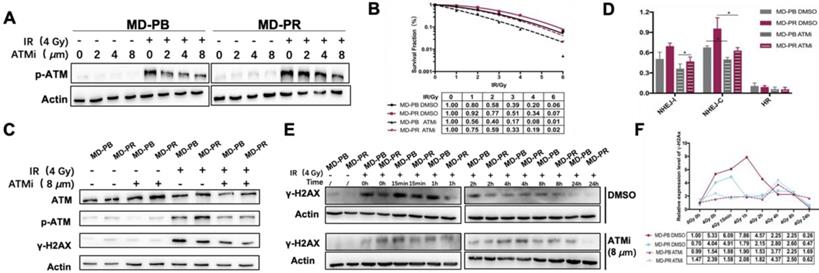 Int J Biol Sci Image