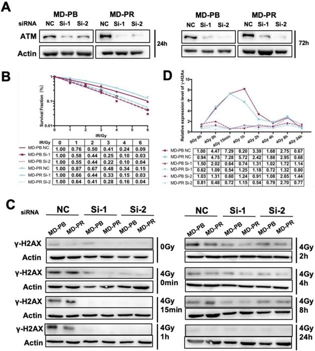 Int J Biol Sci Image